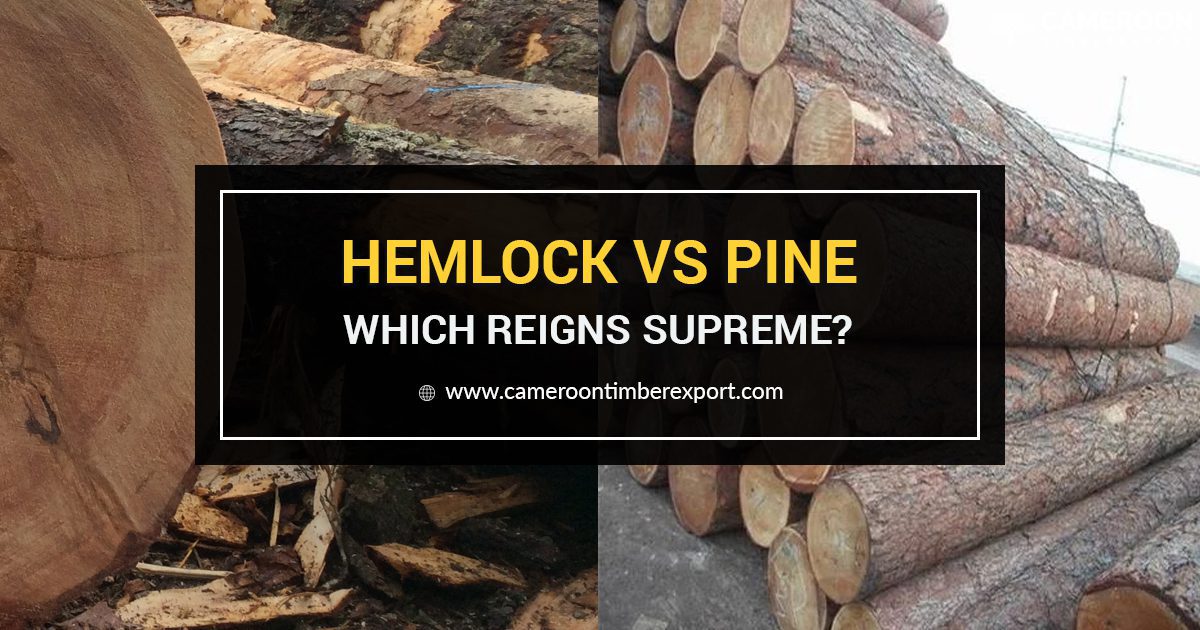 Hemlock Wood Vs Pine